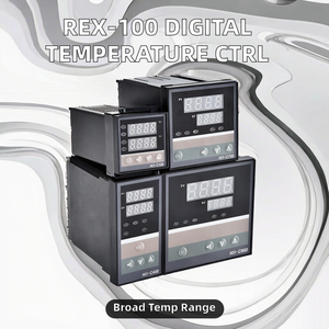 CG 48*48mm REX-100 K J PT100 Digital <strong>SSR</strong> Relay <strong>Output</strong> Single Input Thermostat 400 Degree 220V <strong>Temperature</strong> <strong>Controller</strong> OEM - Product Image 2