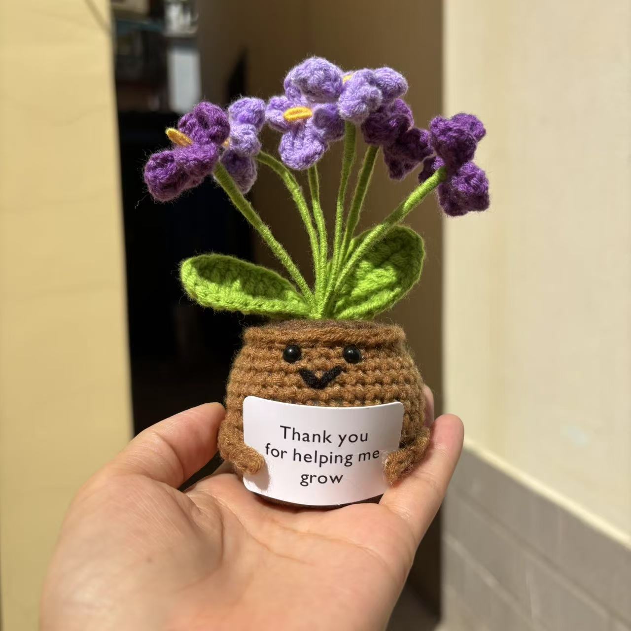 Violet 11