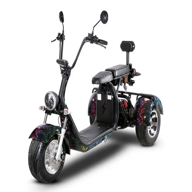 Holland warehouse Tumbler 40Ah battery city coco citycoco 4000w electric scooter trike