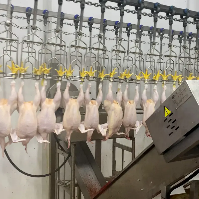 Halal 도살 장비 기계 도살 공장 닭 가금류 도살 라인