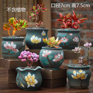 Toptan mavi kil kore etli tencere küçük özel çiçek tencere çiçeklik bahçe için - Product Image 3