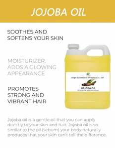 Масло жожоба холодного отжима органическое чистое масло-носитель для ухода за волосами и кожей по заводской оптовой цене Золотое масло жожоба - Product Image 2