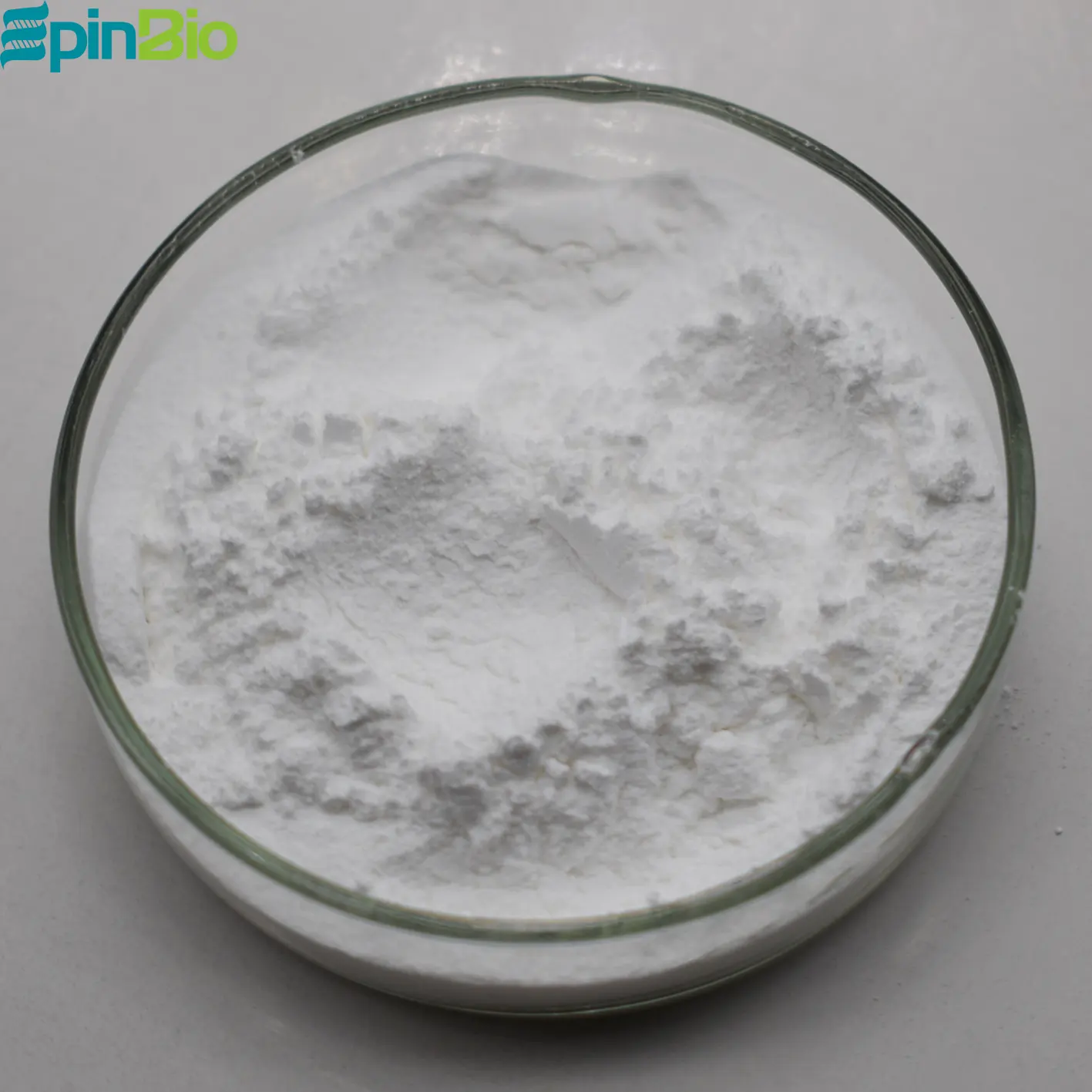 Food Grade Andrographolide Andrographis Paniculata Extract powder