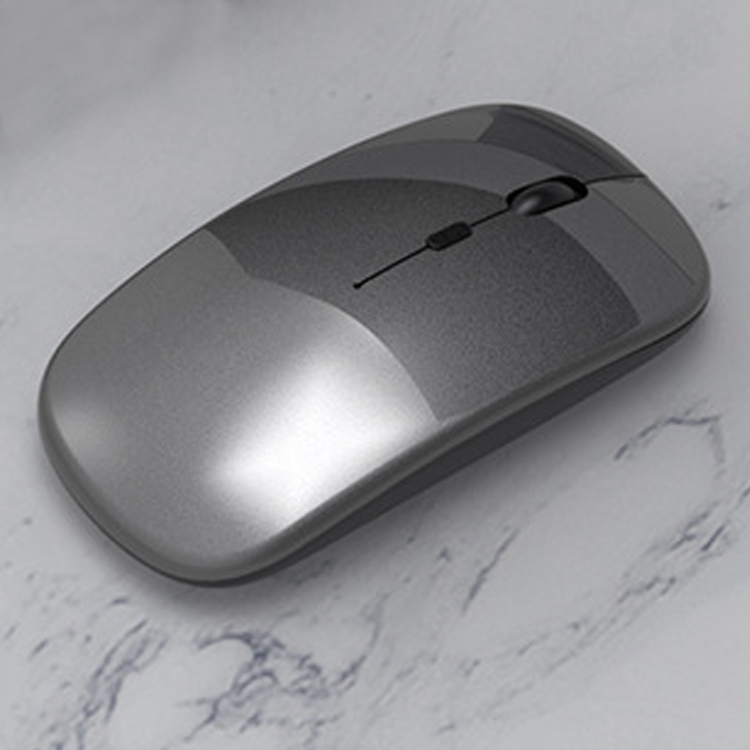 Souris grise
