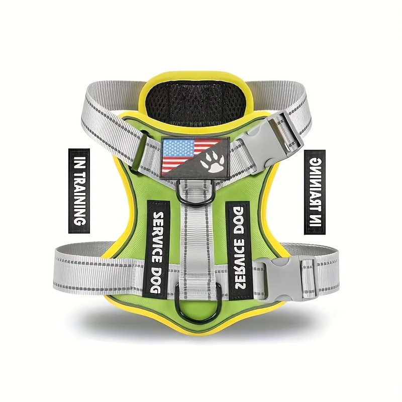 Grass Green with Gray Band
