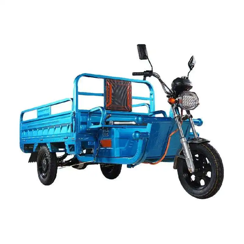JOYKIE 1200w 48v 60V 20A 뜨거운 전기 전동 세발 자전거화물 트럭 큰 바퀴 세발 자전거 성인 판매