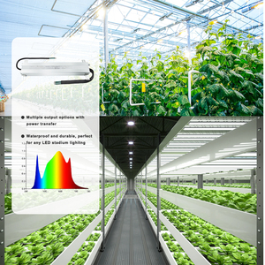 Voltaje amplio 100-277Vac Entrada Controlador de lámpara de crecimiento de plantas optimizado térmicamente 100W 1200W Salida dual 96% Conversión IP65 PWM ROHS - Product Image 6