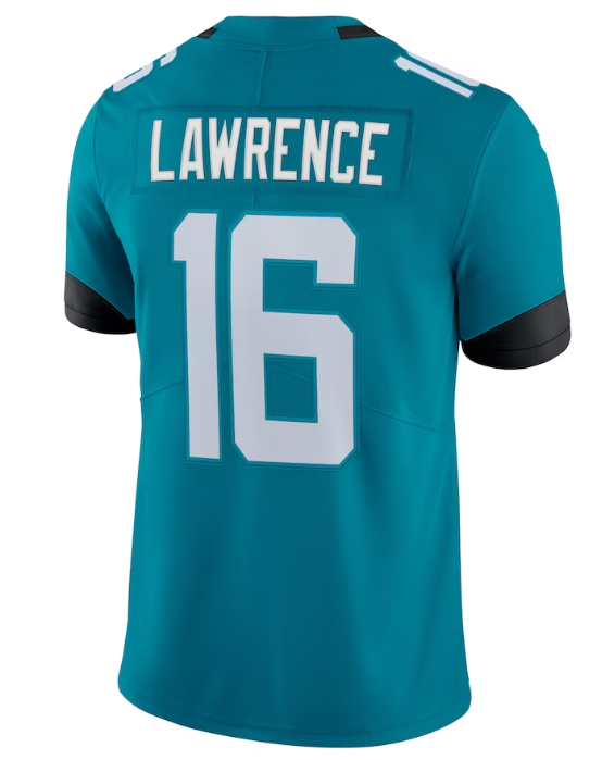 16 Sarcelle de Lawrence