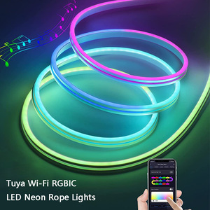 <strong>DC12V</strong> IP67 Waterproof 5050 <strong>RGB</strong> Running Changeable <strong>LED</strong> Strip Light Holiday Addressable Neon Light - Product Image 2
