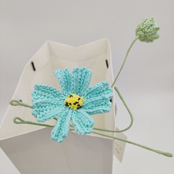 002Turquoise