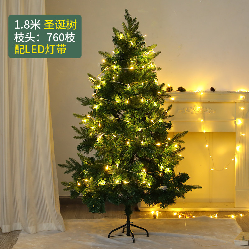 18m auto encryption tree-pe hybrid with lights