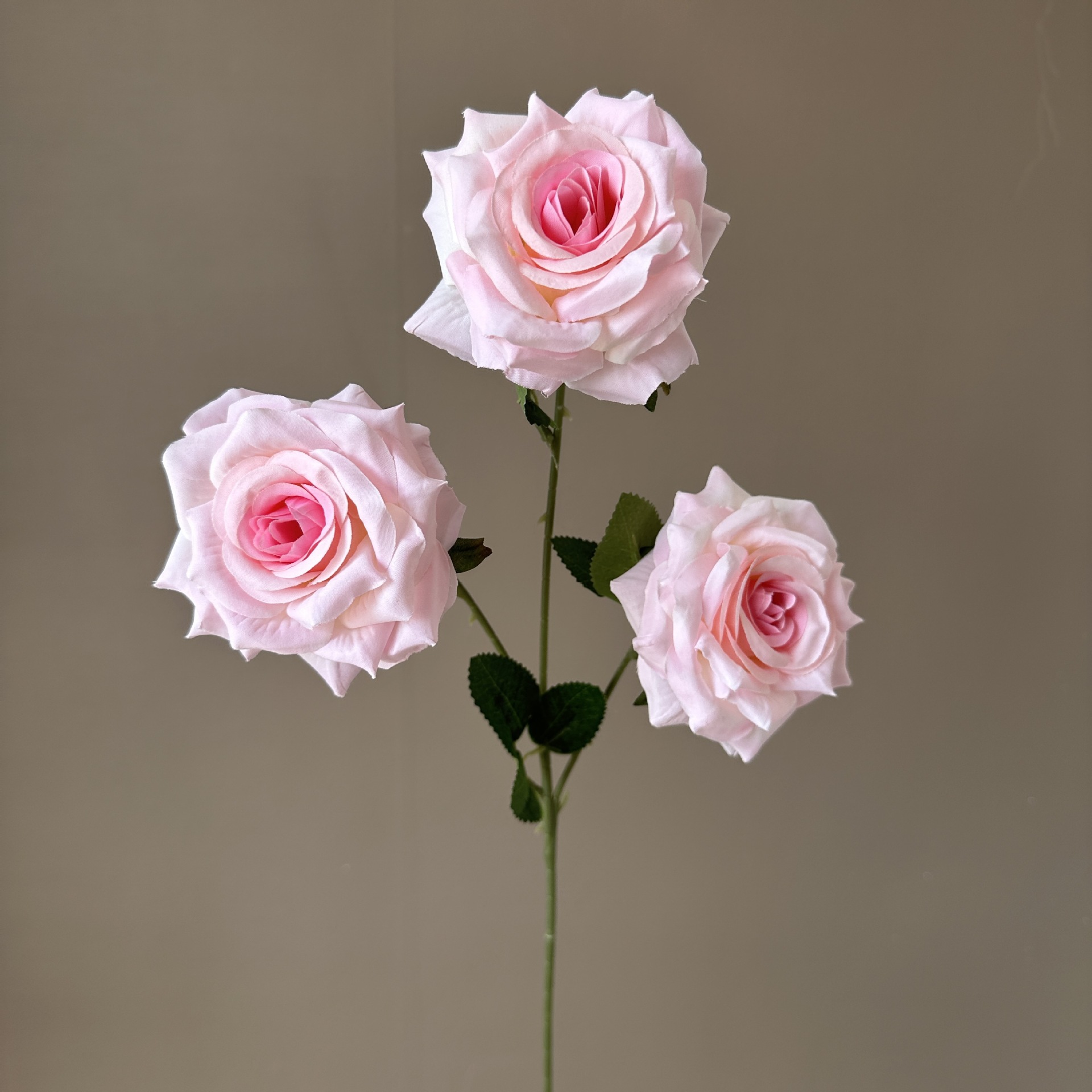 Coeur rose