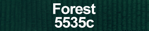 Vert forêt