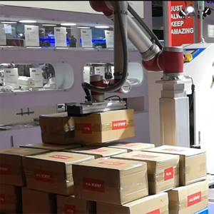 Оборудование для укладки пальцев, производитель Cobot, робот, автоматический паллейзер, коммерческие Роботы - Product Image 2