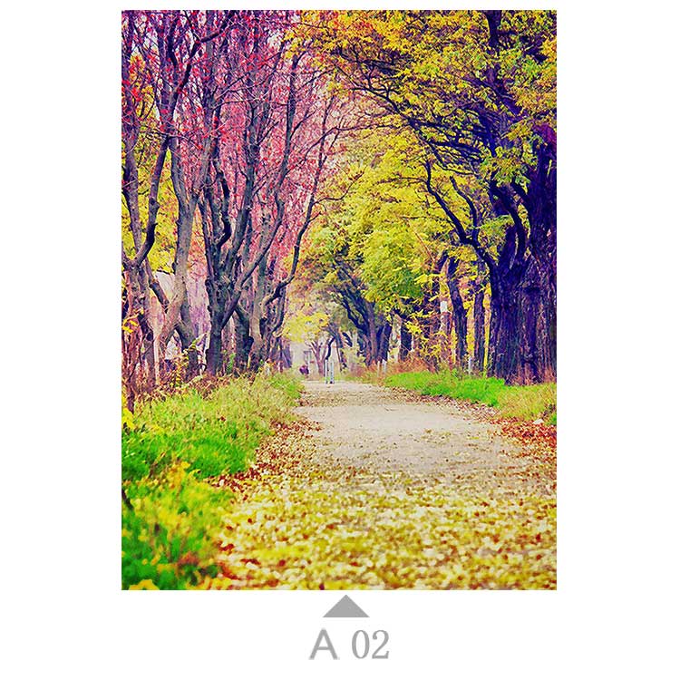 Multicolor-A02