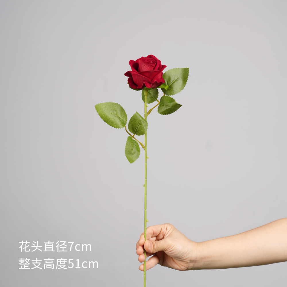 สีแดง