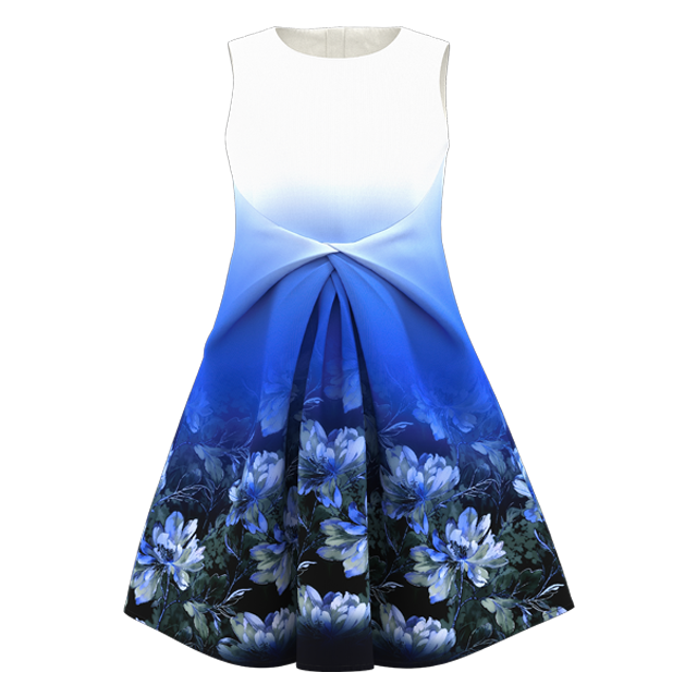 สีฟ้าและสีขาว