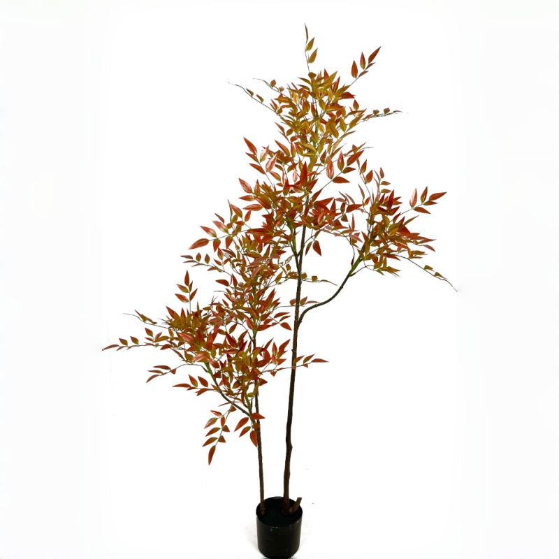 Nuevo nantianzhu rojo-150cm