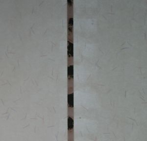 带有黑色白色水印的窗户安全线纸用于证书品牌防伪木浆粗糙触摸