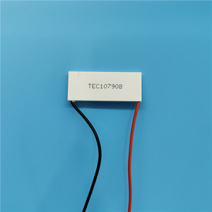 Mô-đun Tấm Làm Mát <span class=keywords><strong>Peltier</strong></span> Bán Chạy 2022 Bộ Làm Mát Nhiệt Điện Mô-đun Tấm Làm Mát <span class=keywords><strong>Peltier</strong></span> 12V - Product Image 2