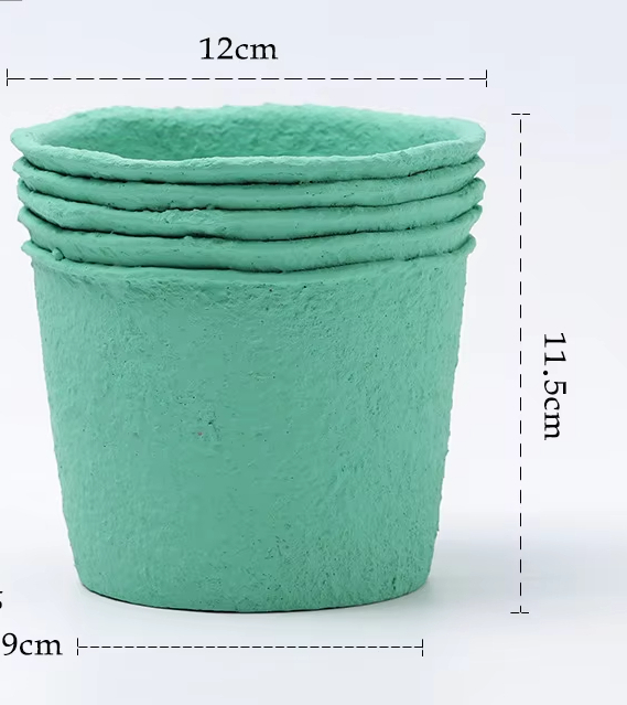 Paper Pulp Mint Green Medium Size 12cm