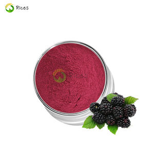 Poudre de fruits de mûrier lyophilisée biologique naturelle en gros OEM, poudre de fraises, de bleuets, de mûres et de framboises - Product Image 1