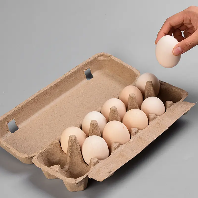 Kunden spezifischer umwelt freundlicher Eier ablage karton mit Deckel Zellstoff formung 12 20 Eier Karton/Tablett/Karton