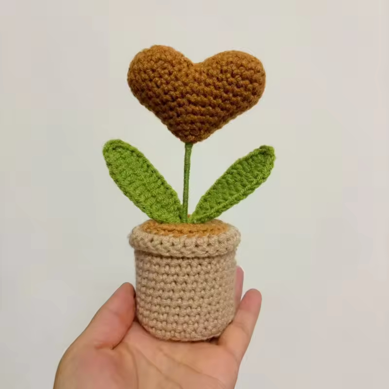 Plante en pot d'amour couleur café