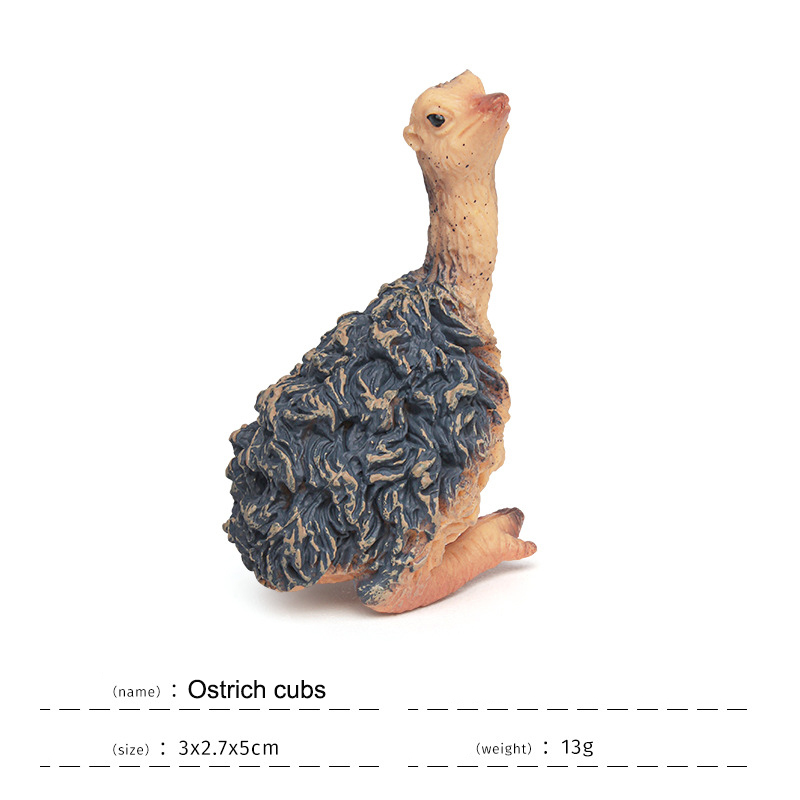 Ostrich cubs