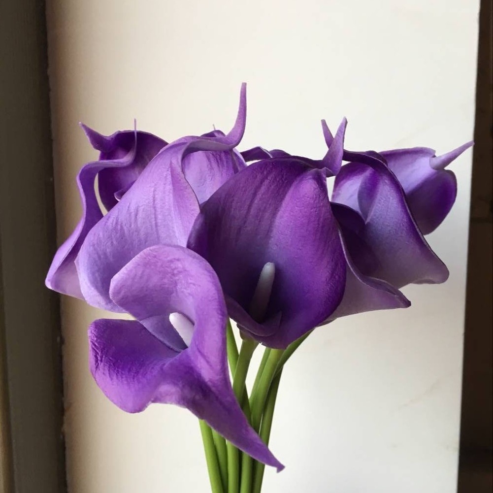 6 violeta claro