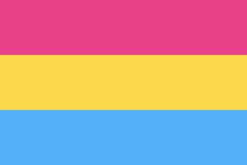 Pansexuelle