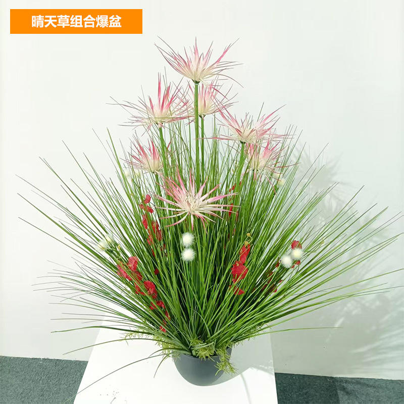 La combinaison de tournesols pousse sauvage et déborde