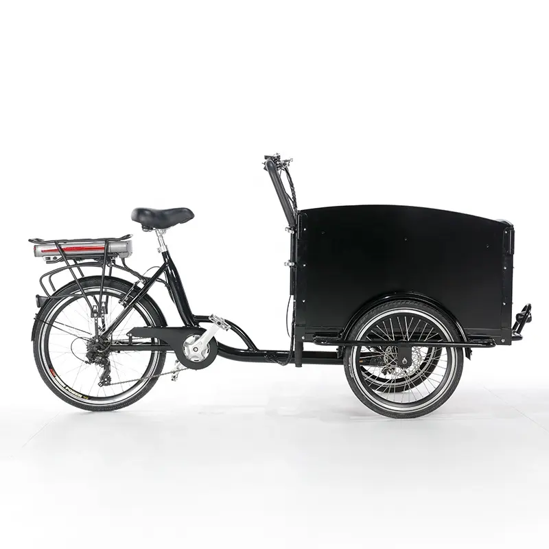 Sıcak satış hollandalı tarzı kargo elektrikli üç tekerlekli bisiklet CE en iyi fiyat Holland bakfiets 3 tekerlekli pedalı motosiklet/üç tekerlekli bisiklet için kargo bisiklet