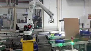 Robot di carico/scarico e pallettizzazione del braccio Robot di 4-6 assi industriale ad alta velocità - Product Image 4
