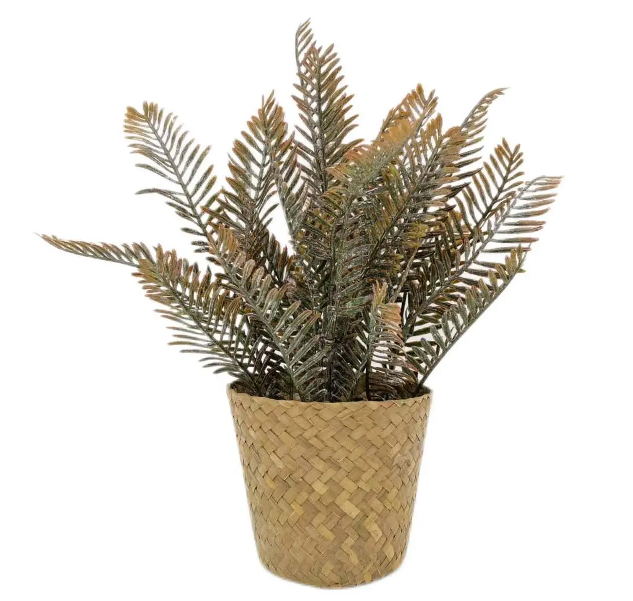 Planta Em Vaso Artificial Assorted Decorativa Faux Suculenta Potted Falso Cactus Cactos Plantas com Potes