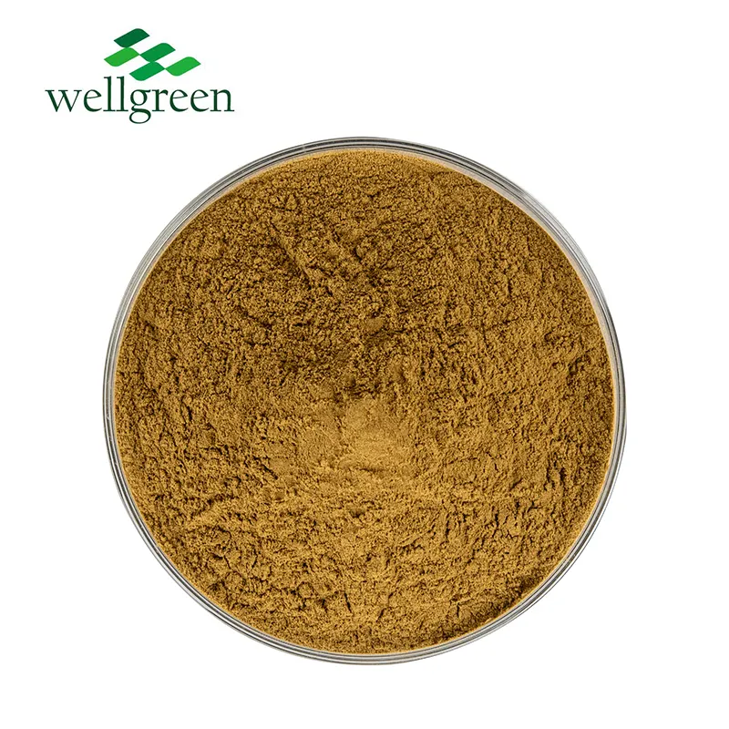 100% Pure Nature Polygonum Multiflorum Extract Fo-ti Root Extract He Shou Wu Extract Powder