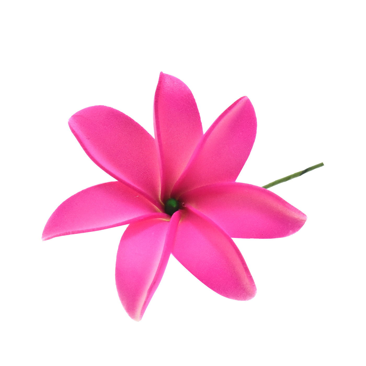 PRF-231 H.rosa