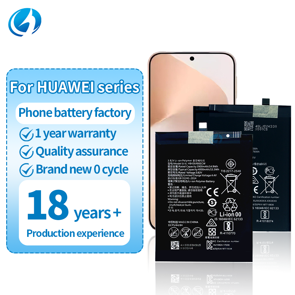 HB386483ECW + pour Huawei Mate 9 Lite Honor 6X