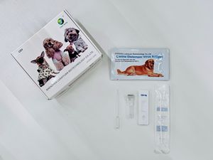 LSY-20037 yeşil bahar köpek distemper antijen hızlı test kiti veteriner ekspres testleri ürünleri köpek hayvan için - Product Image 6
