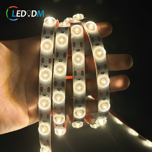 DC24V 36LEDS 48LEDS Lens Diffuse Reflection <strong>Led</strong> Strip Light CCT Single Color One <strong>Led</strong> Cut Flex Smd2835 Light Strip with Lens - Product Image 2