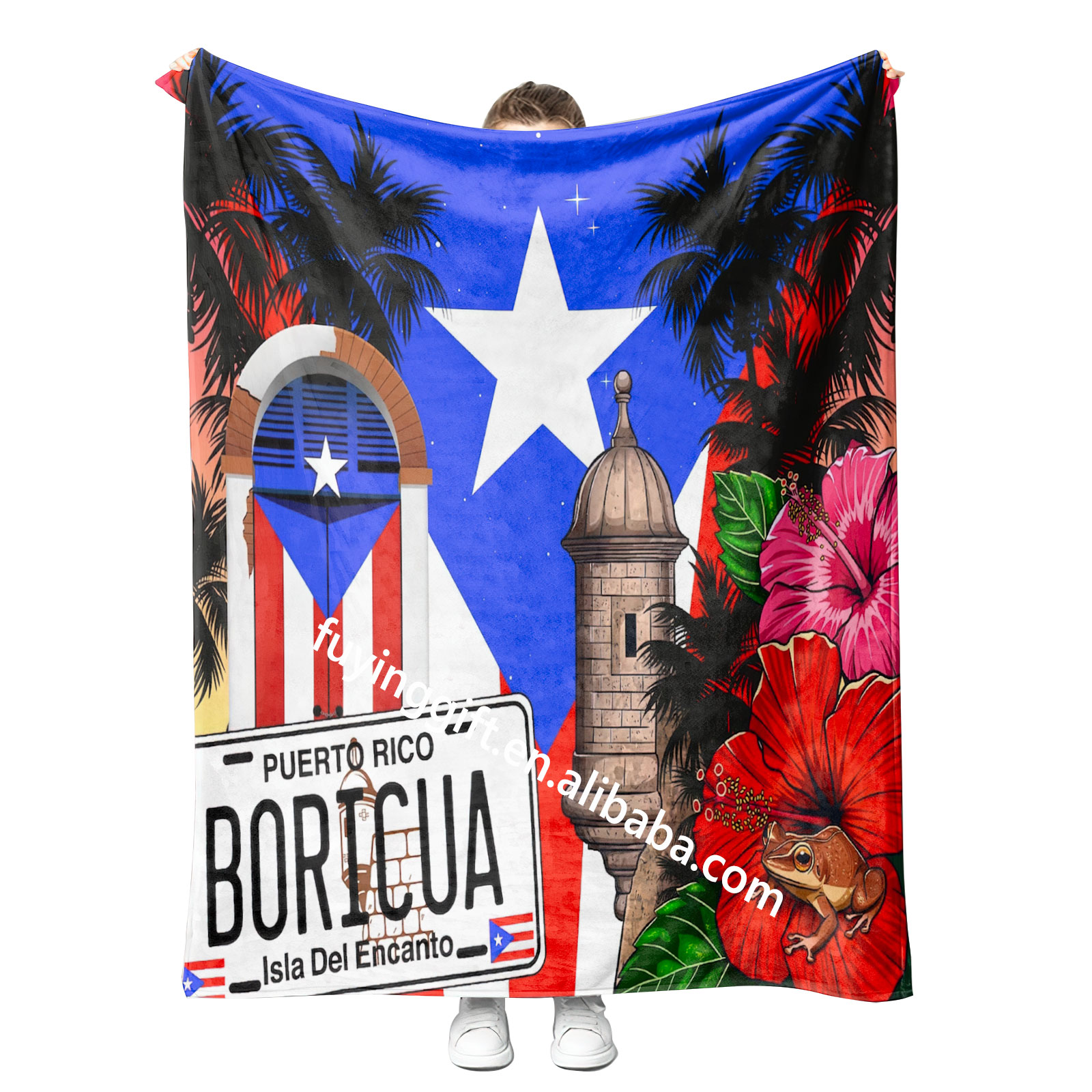 Puerto Rico 04