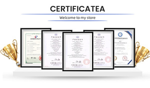 Nhà máy bán R-line phong cách ABS phía trước trung tâm lưới tản nhiệt cho Volkswagen Tiguan 2017-2022 - Product Image 6