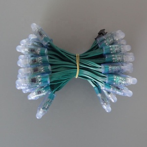 WS2811 12mm Bullet Smart RGB Led Pixels Nodes DC5V Addressable Digital Full Color Waterproof IP68,wire Color <strong>Can</strong> Be Different