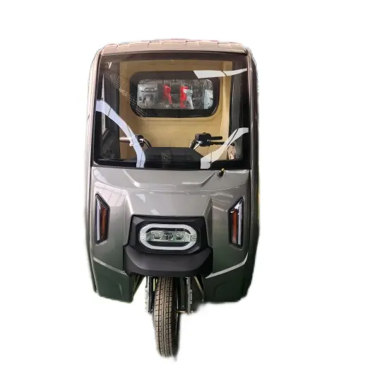 Japon Corée Offre Spéciale Tricycle cargo pour adultes Tricycles électriques à 3 roues E Rickshaw Moto à trois roues en vente