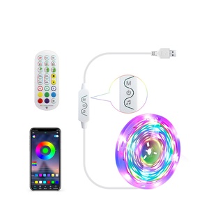 Control de aplicación inteligente SMD tira de luces LED 2,4G remoto RGBIC WS2812B luces sinfónicas sincronización de música CAMBIO DE Color con entrada de 12V - Product Image 1