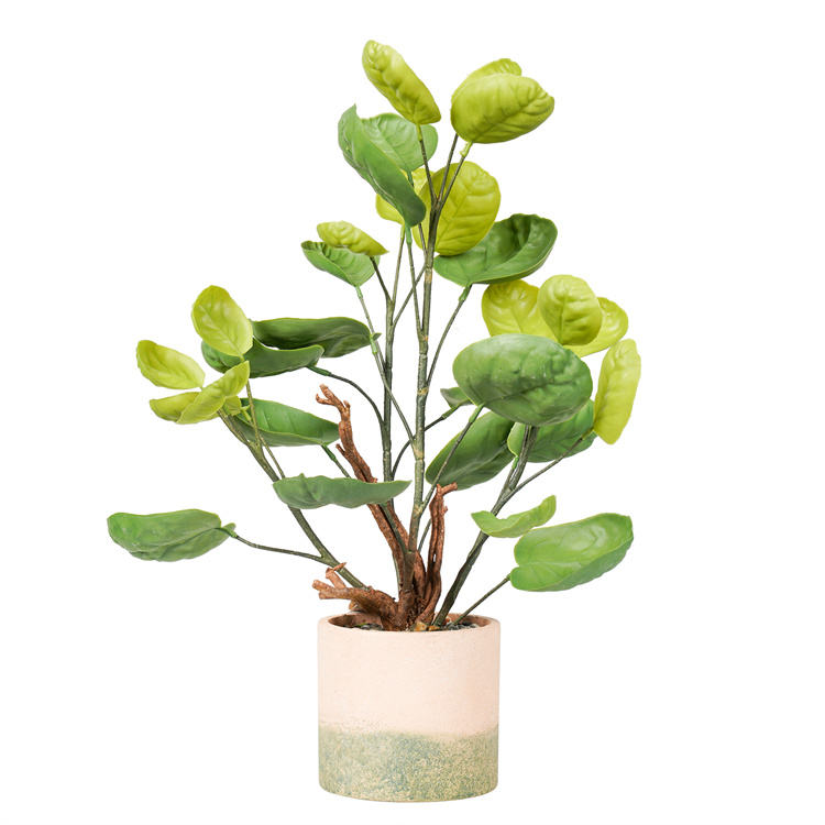 สีเขียว