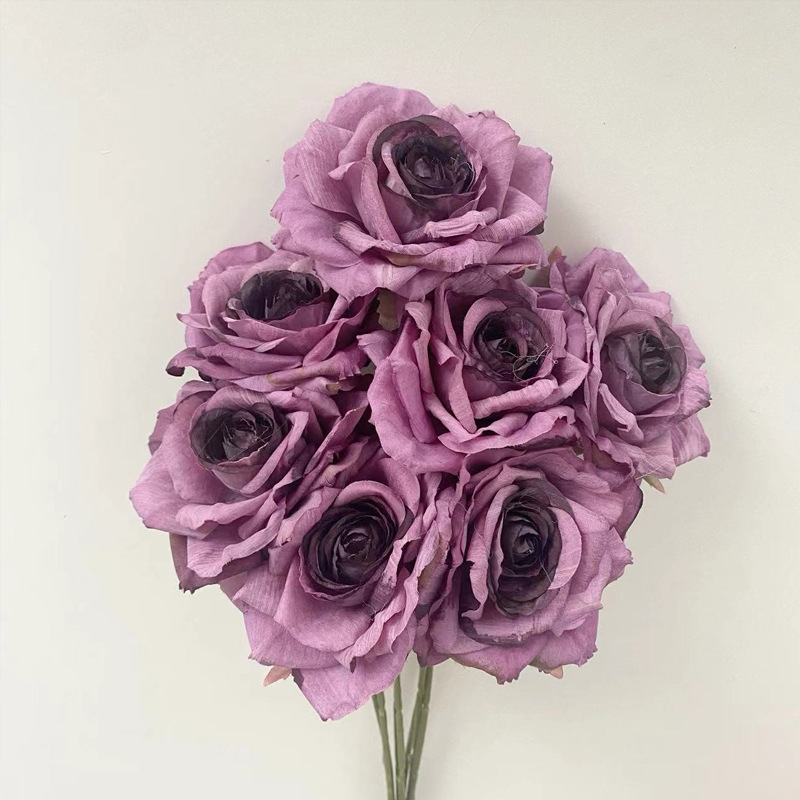 rose 2 viola