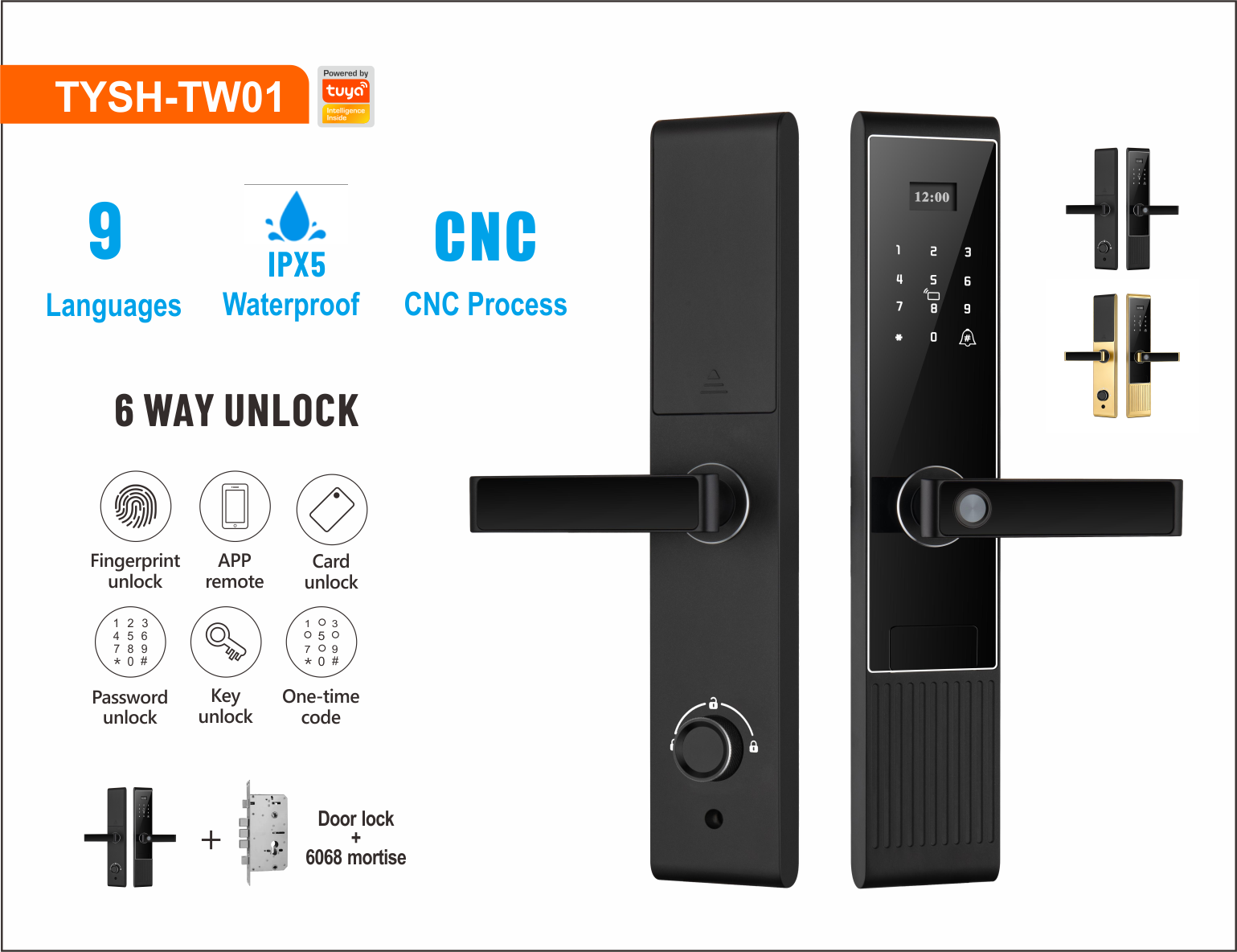 Black-TW01