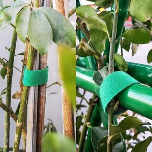 Ganchos y sujetadores de bucle Cinta de amarre Velcroes Correas elásticas con hebillas personalizadas para encuadernación de cables Velcroes ajustables y reutilizables