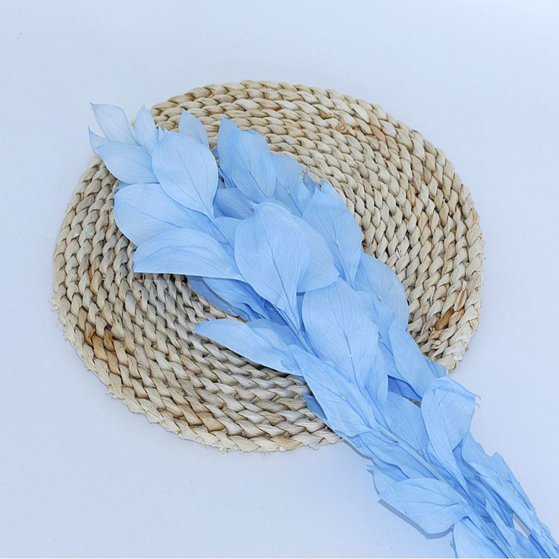 Bleu clair